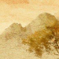 什么样的八字才是好命 时柱上面有财库易发横财