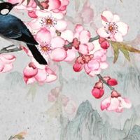 子孙刑克是克儿子吗 子女早生有刑是什么意思