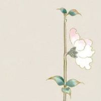 属虎取兴旺的公司名字 独特企业取名大全