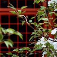 客厅的沙发的最佳朝向 客厅沙发摆放禁忌