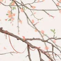 家具起名要求简单大气 寓意好的公司起名用字