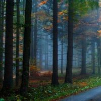 五个要素是适合颜色的大生命