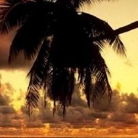 在天河水的五个元素中可以提出什么样的动物