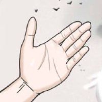 手，横向财富，意外的财富，绅士，爱