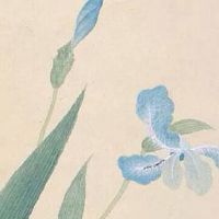 摩羯座幸运车牌号 风水大吉的旺运车牌号码字母