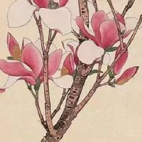 属虎的戴金好还是戴玉好 属虎戴玉财运亨通