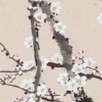 好听的公司名称大全简单大气 最新企业取顺口名字