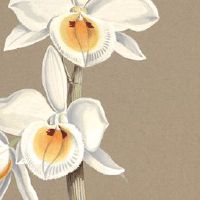 2022年农历四月二十五搬家吉利吗 适不适合搬入新家