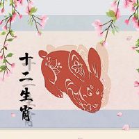 这是2月二十二个生日的面包的男孩和女孩的性格。