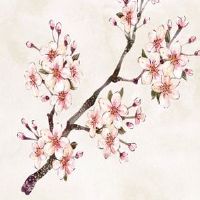 本命年各个生肖要佩戴什么旺自己 本命年带相合生肖运势旺