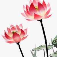 大运流年都冲夫妻宫 婚姻宫被流年冲动有动婚之兆