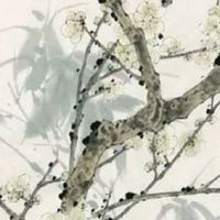 手机尾号8686财运如何 聚财吉祥号码推荐