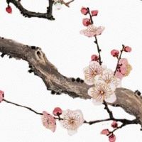 夫妻宫相合代表什么 婚姻宫和流年大运相合