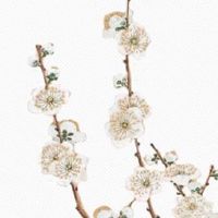 八字哪个是夫妻宫 夫妻星看夫妻关系