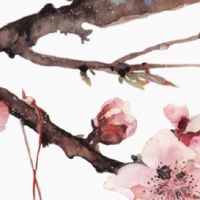 男人日支逢合必出轨 配偶容易出轨的日柱