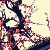 公司好名字好寓意深远 霸气企业取名推荐