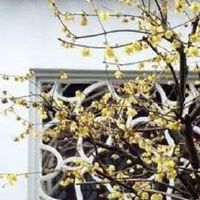 2022年厂起名字怎么起 特色公司取名大全