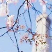 春分气候特点及养生总原则 起居养生有讲究