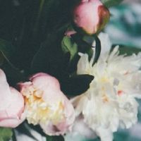 2022年7月属蛇人订婚良辰吉日 定亲吉利日子