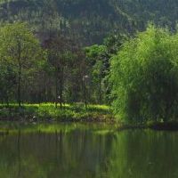 金箔金适合干燥发展