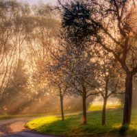 6月3日早上2点钟如何取名，什么是好的？