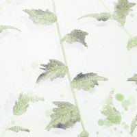 夏天透镜可以剪掉头发范围