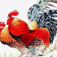 1957年，今年1957年的黄道带是什么？