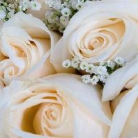 2022年8月属鼠人结婚黄道吉日 宜办婚礼好日子