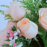 生肖猪2022年8月上等结婚日子 宜嫁娶良辰吉日