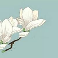 81年属鸡女命运好不好 紫微龙德两大贵人扶持