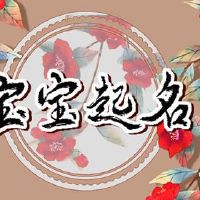 宝贝命运，出生于4月8日，2022年，美好的生活，好运