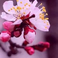 聚财手机号码尾数后3位 热门的手机尾号合集大全