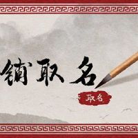 简单创意的杂货店名称需要摆脱旧规则