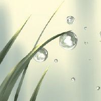 清明节可以在2022年供电吗？清明节是什么时候？