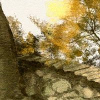 第一类男孩生活和第二课之间有什么区别？你是哪种类型？