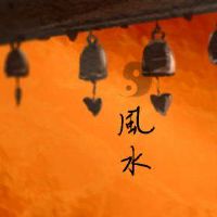 由王人民，室内盆栽，栽培，广东，富裕，丰富的室内盆栽