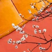 怎么判断自己八字食伤 食伤旺者较聪明