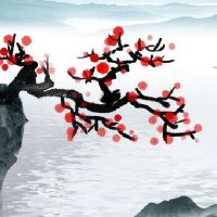 得宠又得财的面相女人 鼻头饱满眼大水汪汪