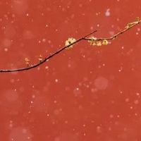 超市取什么名字比较吉利 新店铺取名简约大气