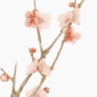 夫妻宫被刑冲怎么化解 婚姻宫发生了刑冲合害克妻吗