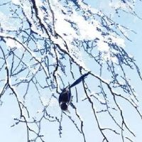 易经中大气的公司名字 吉利招财的企业取名