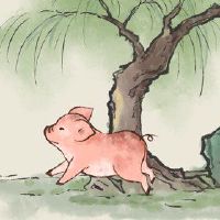 今年2023岁的猪多大了?