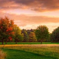 什么是最好的墙上?