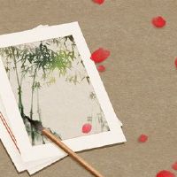 简单明亮的装饰公司名称亮点2022