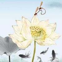 三两四钱女命一生婚姻 财运一般生活平稳