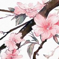 92年属猴虎年结婚好不好 虎年结婚感情深厚