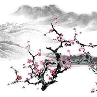 生来到老都享福的痣 奸门有痣的人老年有福气