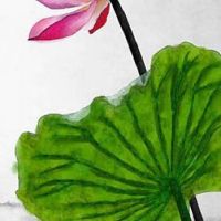 婚姻宫怎么看:婚姻宫逢冲单身会结婚