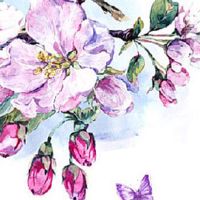 办公室风水摆件前十名 假花不能摆放在办公室中