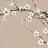 水晶不喜欢主人的表现 佩戴不适合的水晶不会带来霉运